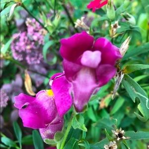 Meet your Posher, Glorianne